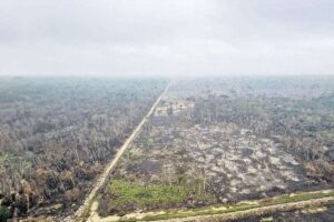 El INRA dice que “la quema siempre ha sido una herramienta en la agricultura”, pero por el cambio climático ahora genera consecuencias graves