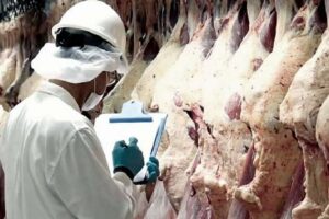 Exportación de carne crece un 63,4%, los principales mercados son China y Rusia