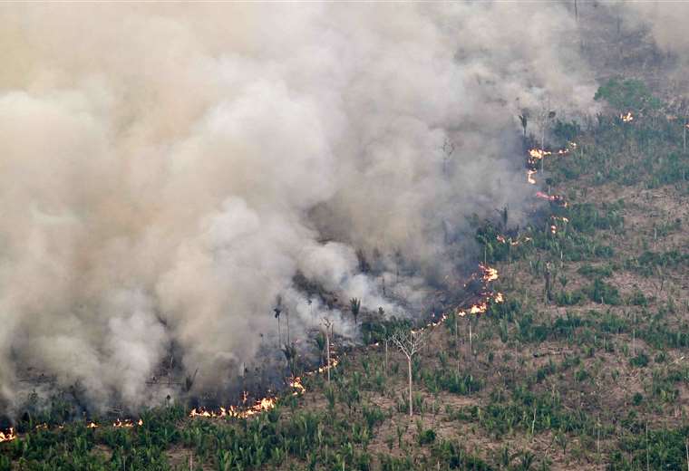 Sepa cuáles son las ‘leyes incendiarias’ que siguen vigentes pese al desastre medioambiental