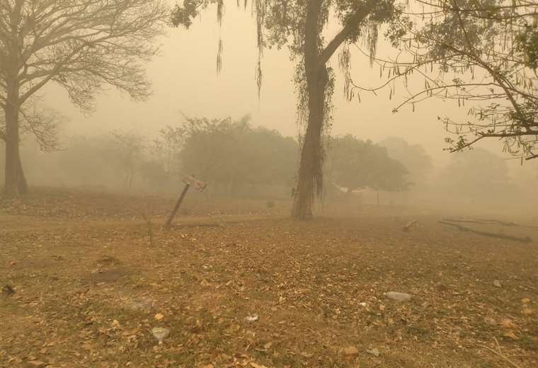 Arce Catacora anuncia llegada de brigadistas de Brasil y Chile para luchar contra los incendios en Bolivia