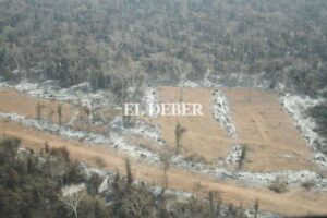 Territorios en llamas, ven que el crimen organizado se infiltra en la disputa por tierras en el oriente del país