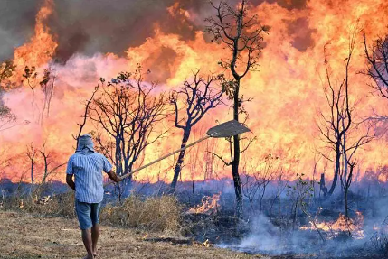 “No podemos mirar de palco”, hay más pedidos para una declaratoria de desastre nacional por la magnitud del fuego