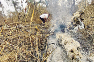 Informe: El 78,4% del fuego se genera en tierras fiscales y comunidades indígenas