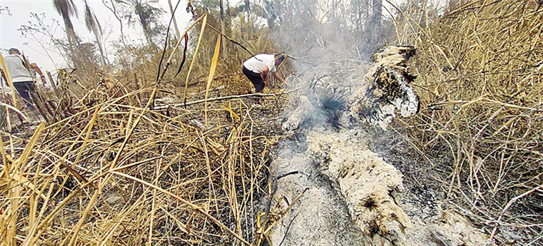 Informe: El 78,4% del fuego se genera en tierras fiscales y comunidades indígenas