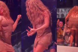 Shakira se bajó de una tarima por temor a que le hicieran fotos debajo del vestido