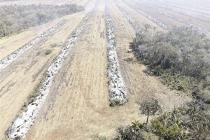 Gobierno exige a la Asamblea aprobar crédito para saneamiento de tierras y así evitar la toma de predios