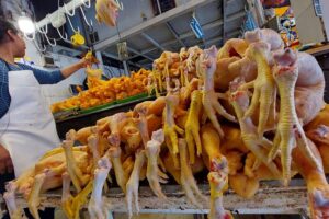 4 factores que hacen variar el precio del pollo para el consumidor final, según los avicultores