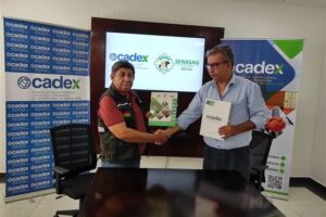 Senasag y Cadex buscan simplificar y agilizar la certificación de exportaciones, a través de convenio