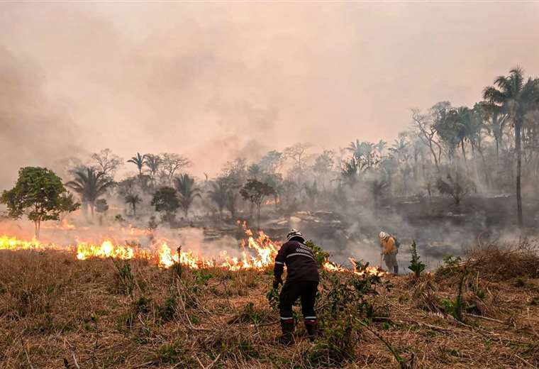 Diputado Fernando Llapiz defiende su rechazo a la derogación de la ‘Ley Incendiaria’ y denuncia un decreto para revertir tierras