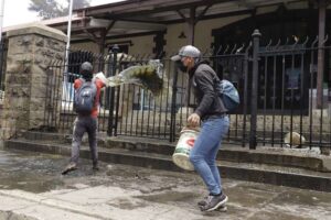 Lecheros en Cochabamba protestan contra los bloqueos y echan excremento de vaca a edificios públicos