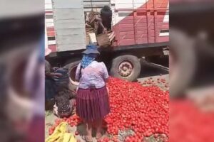 Agricultores arrojan a la carretera su producción de tomate, afectados por los bloqueos