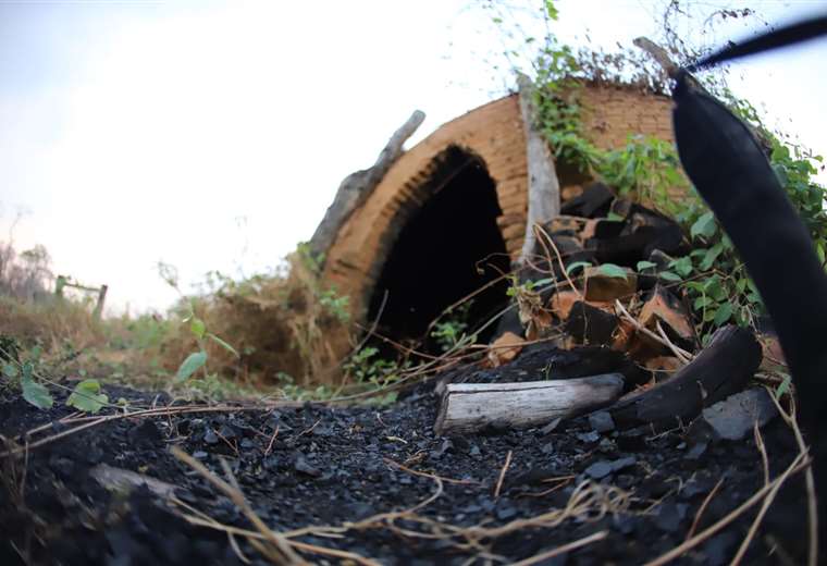 Más de 500 hornos de carbón ponen en peligro el bosque de San Rafael que logró salvarse del fuego