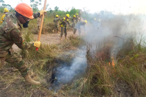 El INRA reporta que 9,8 millones de hectáreas afectadas por los incendios; el 61% son bosques