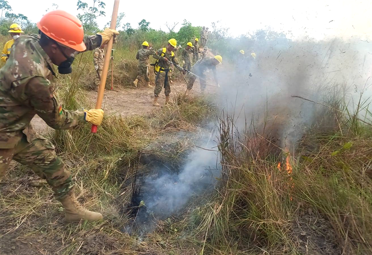 El INRA reporta que 9,8 millones de hectáreas afectadas por los incendios; el 61% son bosques