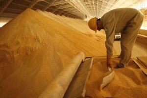 Industriales niegan acusaciones de avicultores sobre el suministro de harina de soya