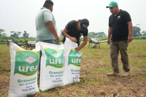 Cuatro empresas ligadas al agro compran cerca de 5.000 toneladas de urea al año a YPFB