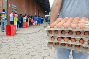 Productores de huevo enfrentan un incremento de hasta un 60% en el precio de insumos