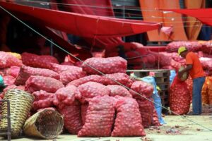 Productores proyectan escasez de papa, cebolla y tomate por escasez de diésel y bloqueos