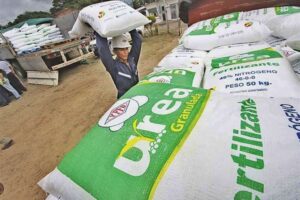 Bolivia proyecta cerrar el año con una producción «récord» de 530.000 toneladas de urea