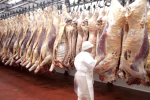 Ganaderos se reunirán de emergencia por el freno a las exportaciones de carne de res