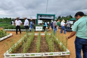 Exposoya 2025 presenta dos nuevas variedades de soya